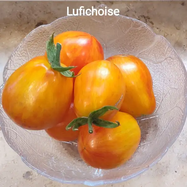 Tomaten: Lufichoise