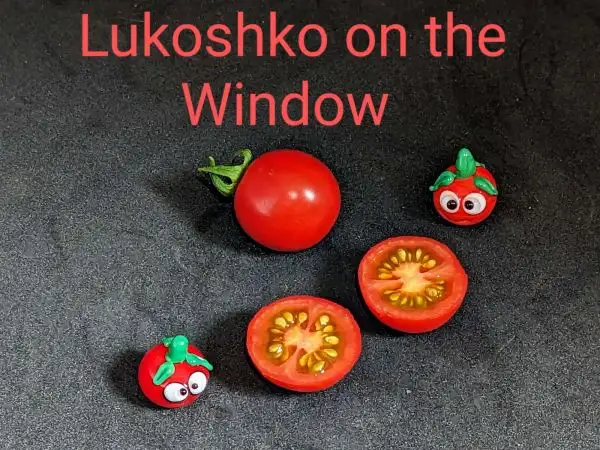 Tomaten: Lukoshko on the Window