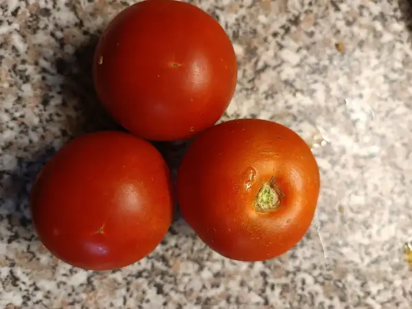 Tomaten: Lukullus