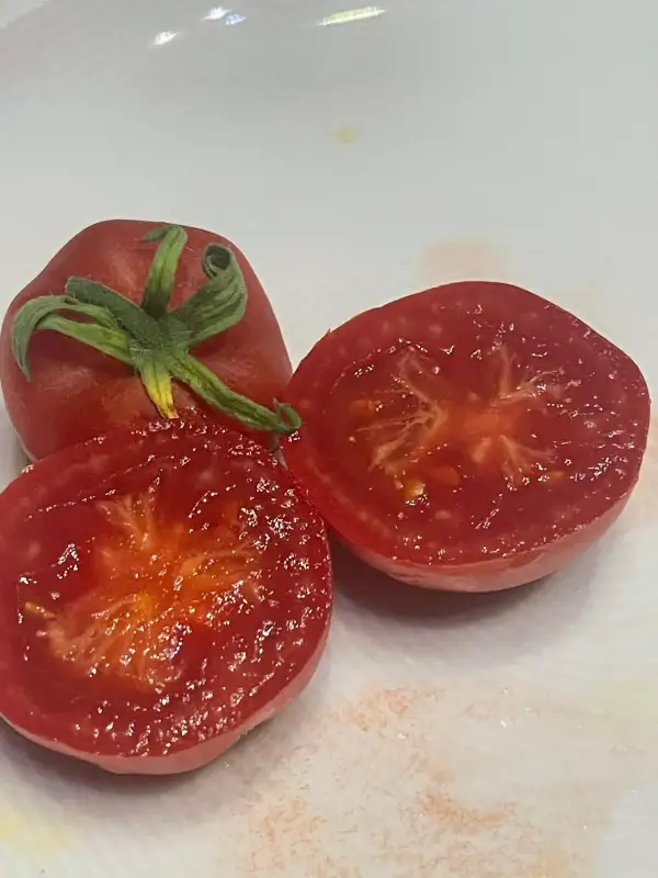 Tomaten: Lukullus