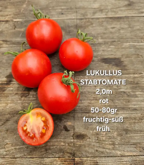 Tomaten: Lukullus