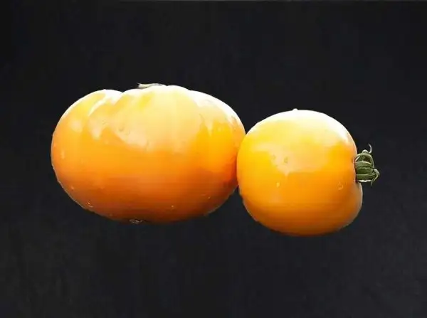 Tomaten: Lunar Joy