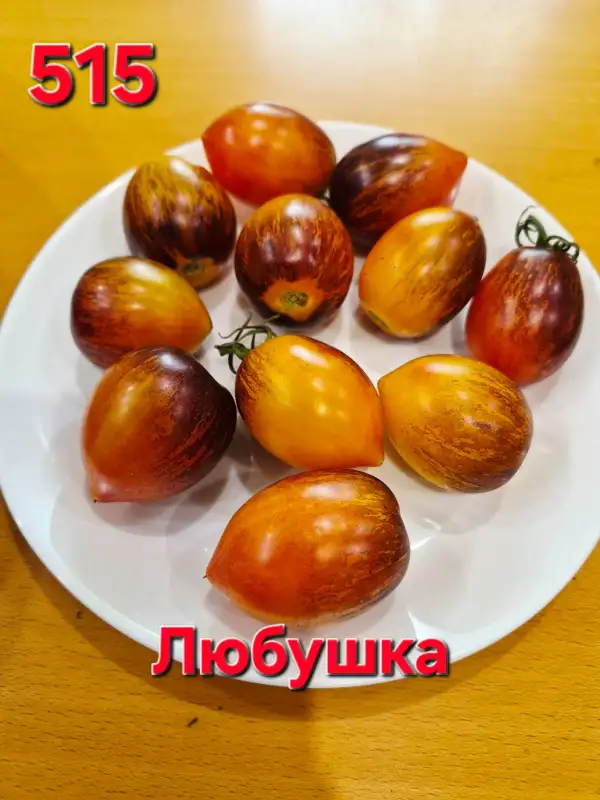 Tomaten: Lyubushka