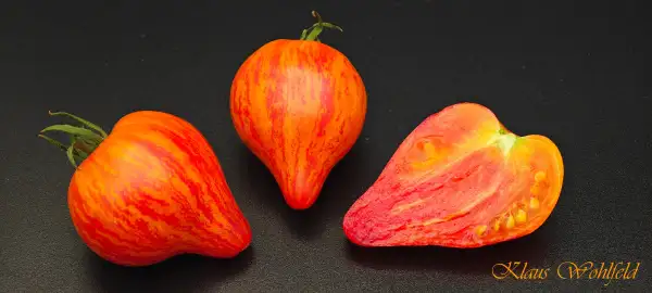 Tomaten: Lyudmilas Traum