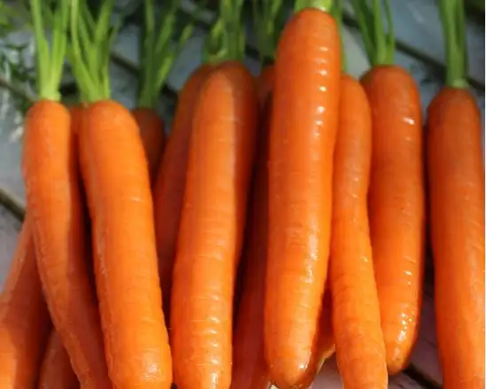 andere Gemüse: Möhren Lange rote stumpfe ohne Herz 2/Zino