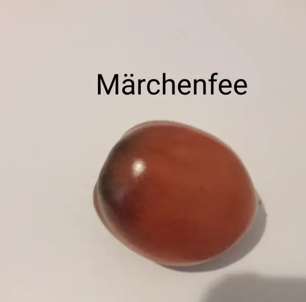 Tomaten: Märchen Fee