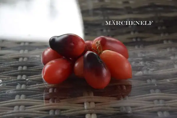 Tomaten: Märchenelf