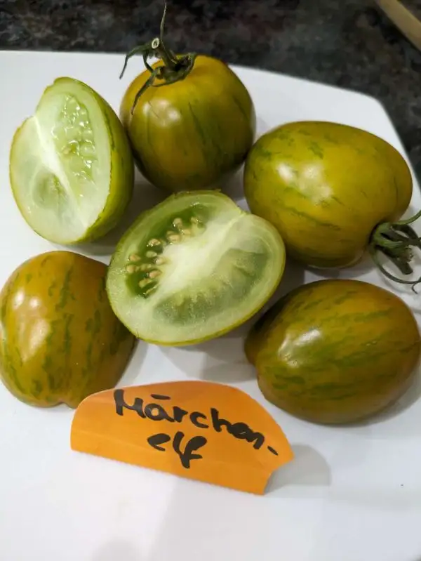 Tomaten: Märchenelf