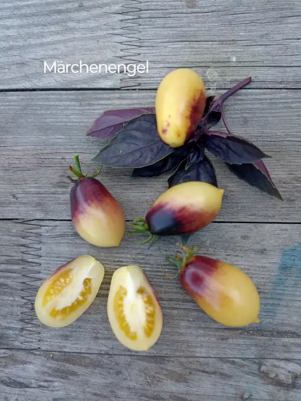 Tomaten: Märchenengel