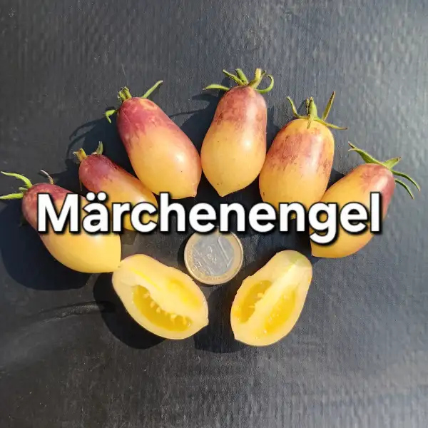 Tomaten: Märchenengel
