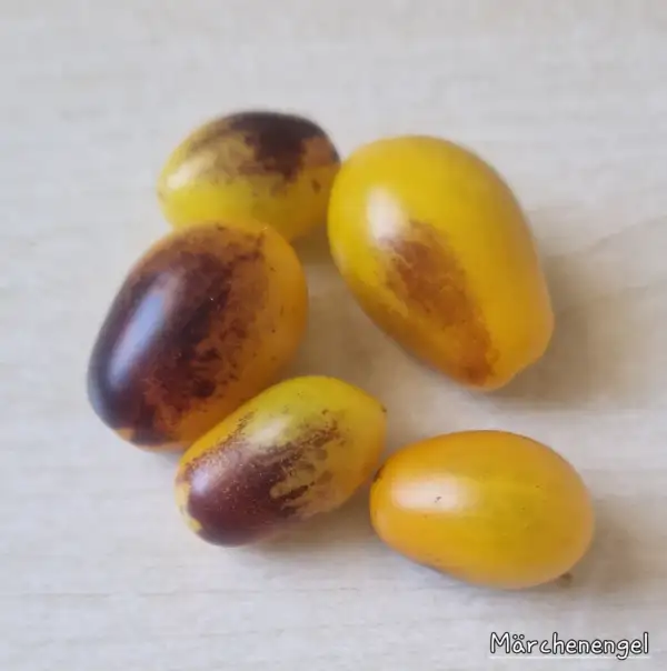 Tomaten: Märchenengel