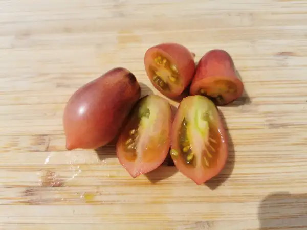 Tomaten: Märchenfee