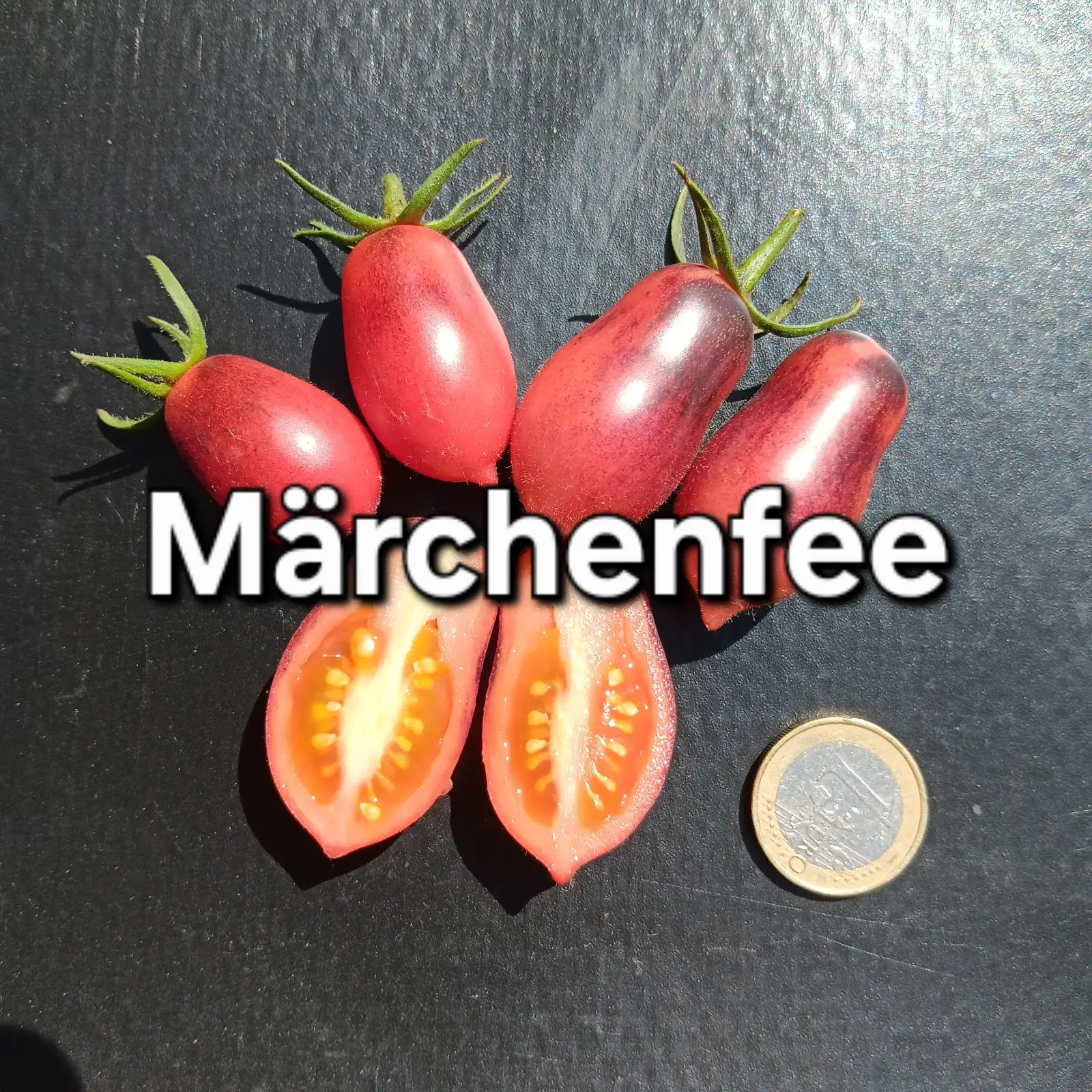 Tomaten: Märchenfee