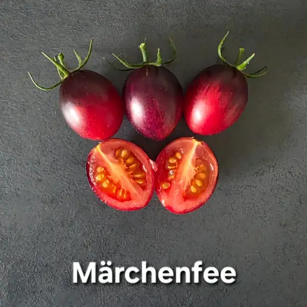 Tomaten: Märchenfee