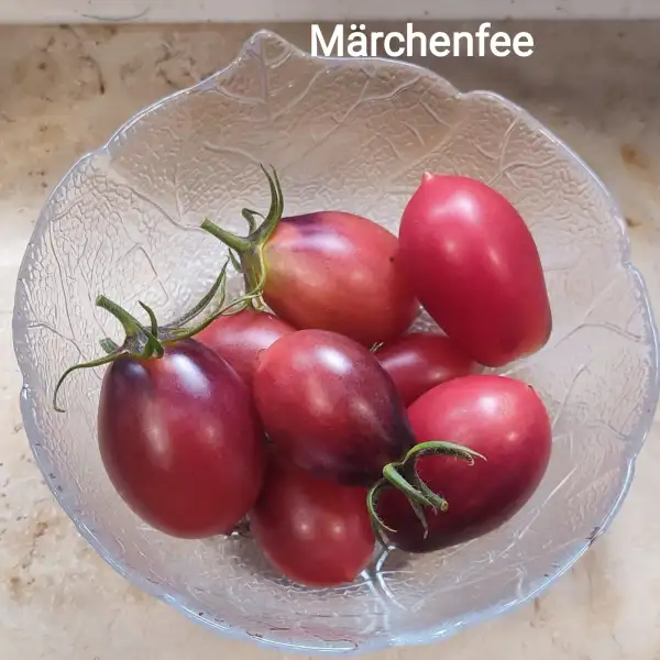 Tomaten: Märchenfee