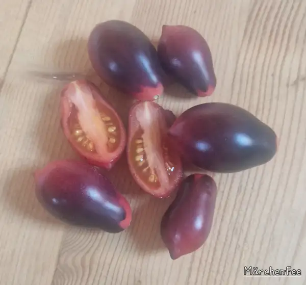 Tomaten: Märchenfee