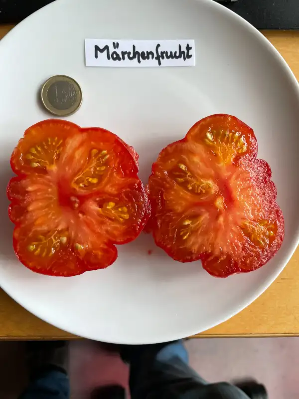 Tomaten: Märchenfrucht