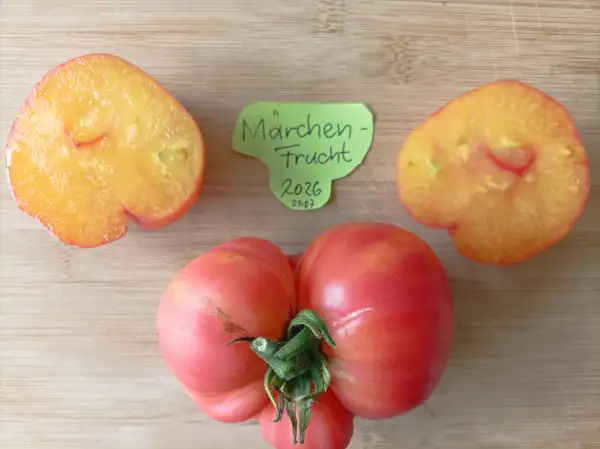Tomaten: Märchenfrucht