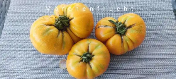 Tomaten: Märchenfrucht