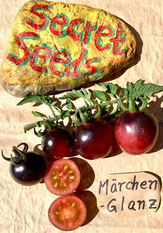 Tomaten: Märchenglanz