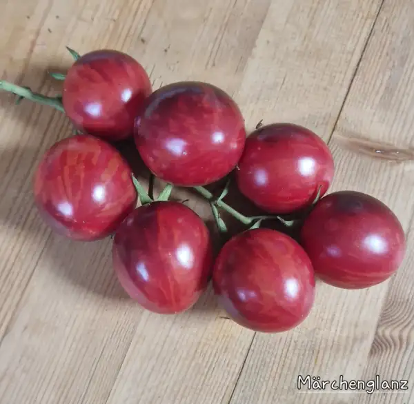 Tomaten: Märchenglanz