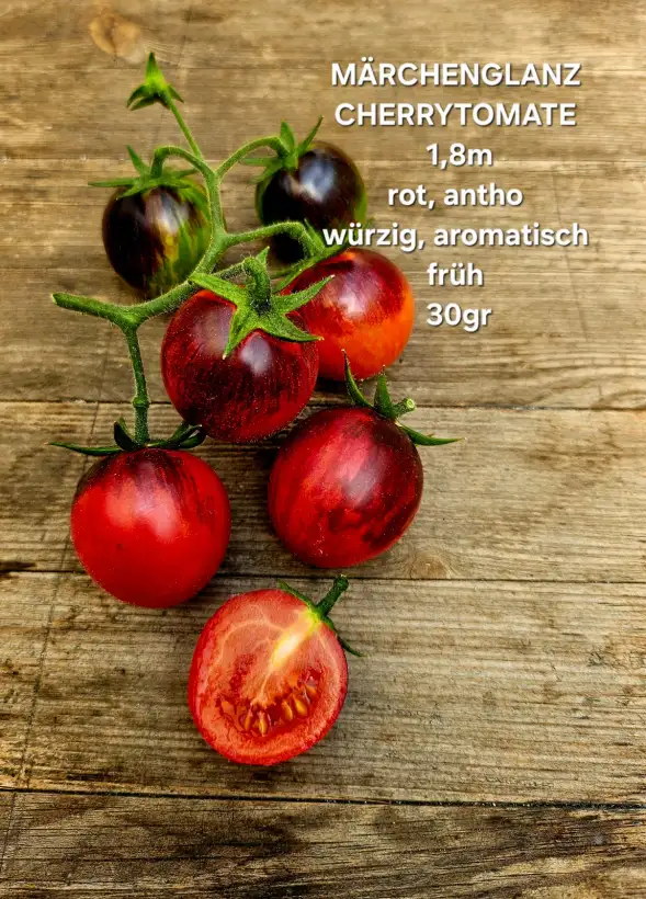 Tomaten: Märchenglanz
