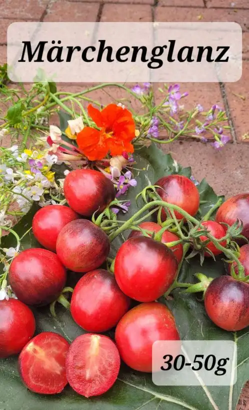 Tomaten: Märchenglanz