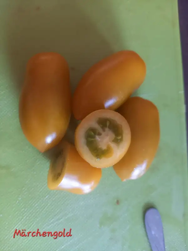 Tomaten: Märchengold