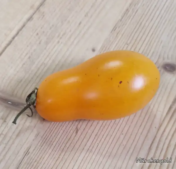 Tomaten: Märchengold