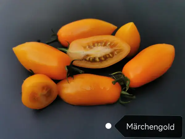 Tomaten: Märchengold