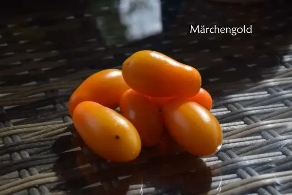 Tomaten: Märchengold