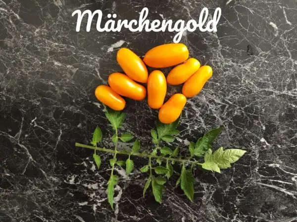 Tomaten: Märchengold