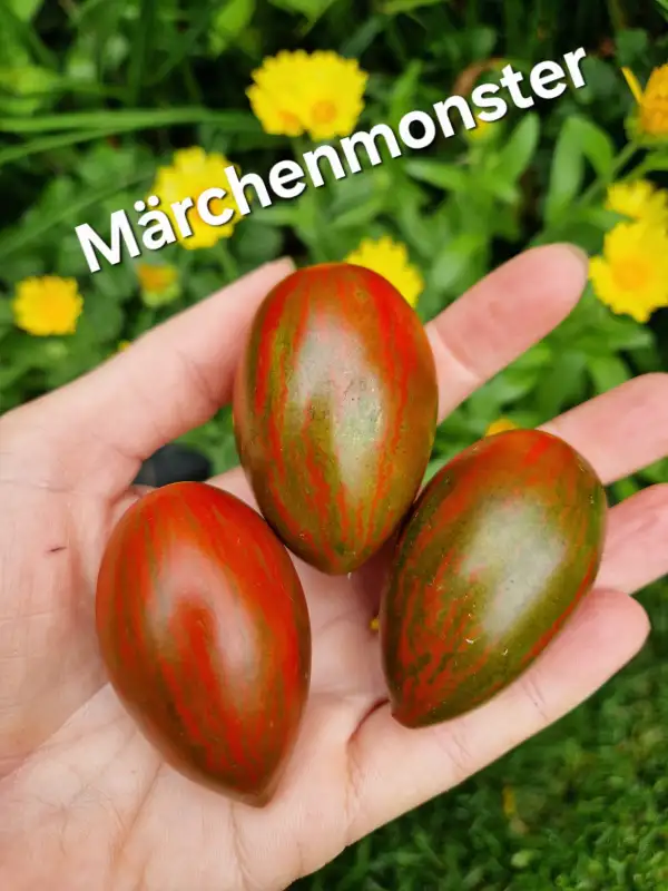 Tomaten: Märchenmonster