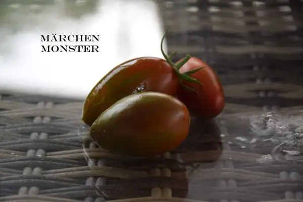 Tomaten: Märchenmonster