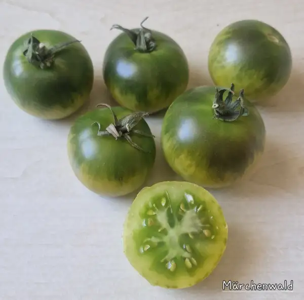 Tomaten: Märchenwald