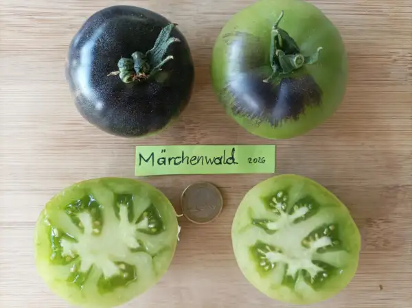 Tomaten: Märchenwald