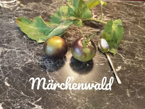 Tomaten: Märchenwald