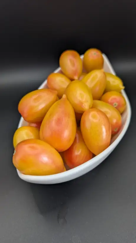 Tomaten: Märchenzauber