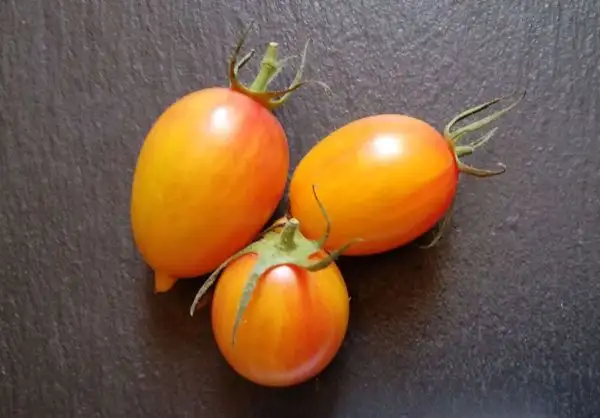 Tomaten: Märchenzauber