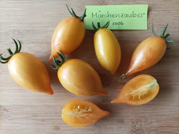 Tomaten: Märchenzauber