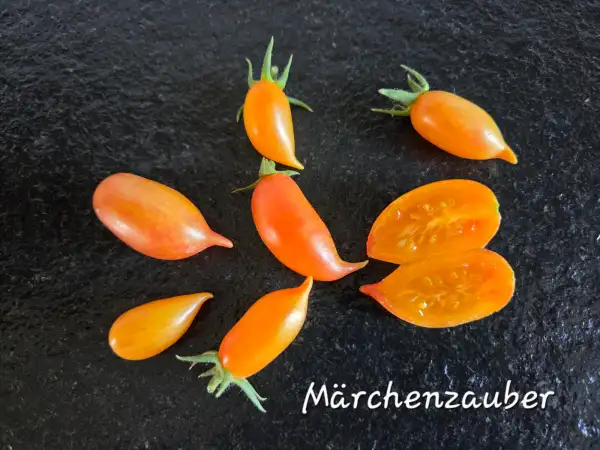 Tomaten: Märchenzauber