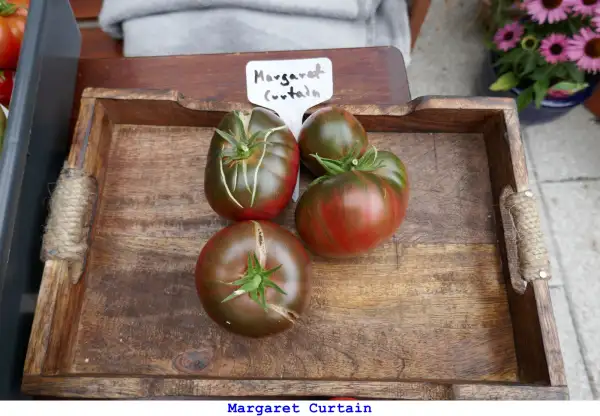 Tomaten: Magaret Curtain