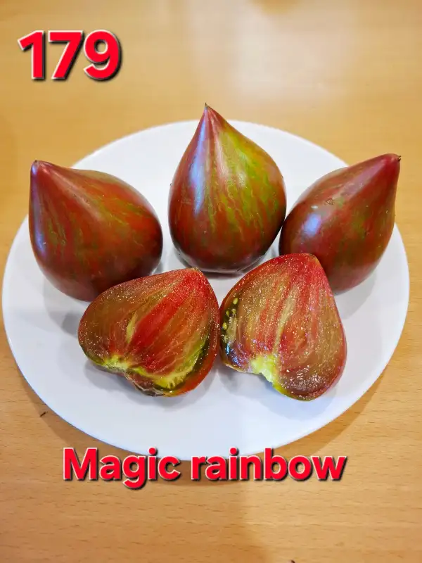Tomaten: Magical rainbow