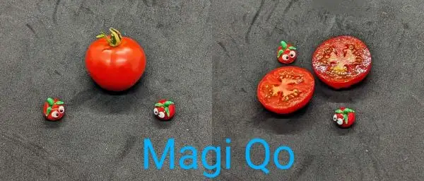 Tomaten: Magiqo