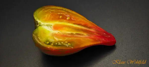Tomaten: Magischer Regenbogen