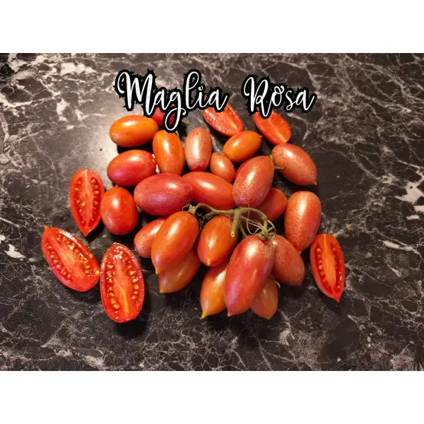 Tomaten: Maglia Rosa