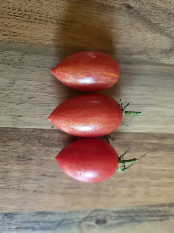 Tomaten: Maglia Rosa