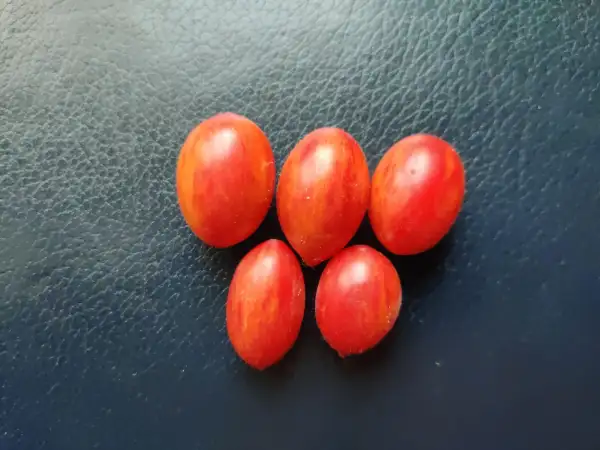 Tomaten: Maglia Rosa