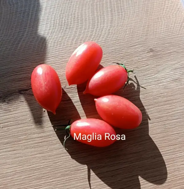 Tomaten: Maglia Rosa