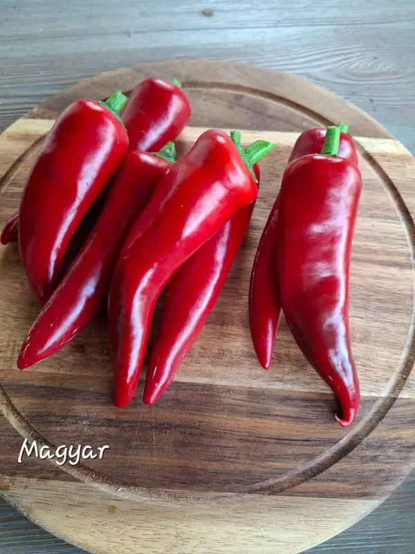 Chili / Paprika: Magyar Paprika
